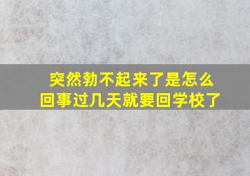 突然勃不起来了是怎么回事过几天就要回学校了