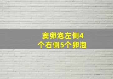 窦卵泡左侧4个右侧5个卵泡