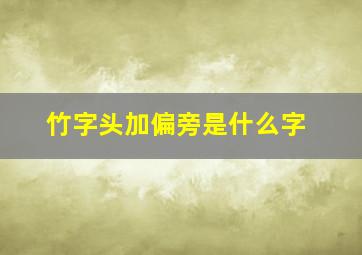 竹字头加偏旁是什么字