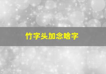 竹字头加念啥字