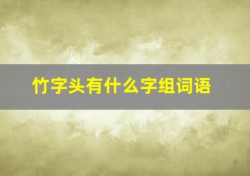 竹字头有什么字组词语