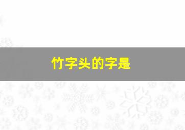 竹字头的字是