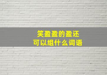 笑盈盈的盈还可以组什么词语