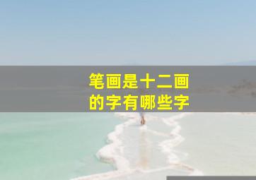 笔画是十二画的字有哪些字