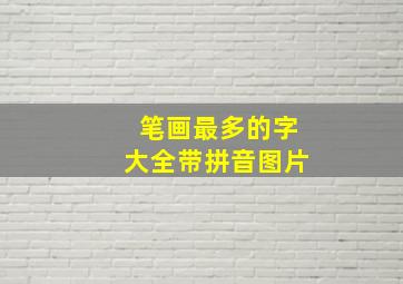 笔画最多的字大全带拼音图片