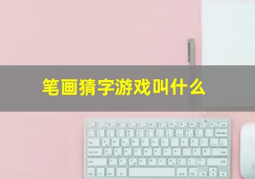 笔画猜字游戏叫什么