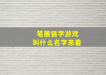 笔画猜字游戏叫什么名字来着