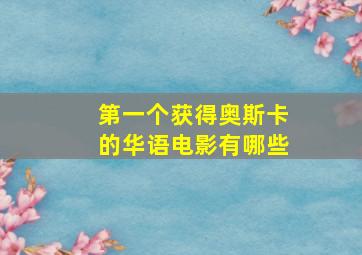 第一个获得奥斯卡的华语电影有哪些