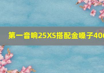 第一音响25XS搭配金嗓子406