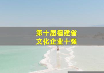 第十届福建省文化企业十强