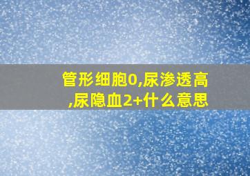 管形细胞0,尿渗透高,尿隐血2+什么意思