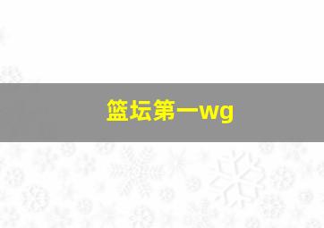 篮坛第一wg