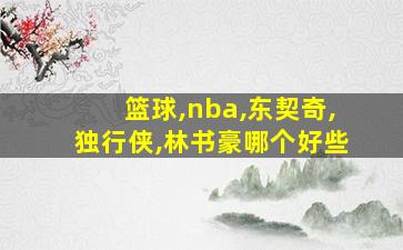 篮球,nba,东契奇,独行侠,林书豪哪个好些