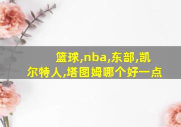 篮球,nba,东部,凯尔特人,塔图姆哪个好一点