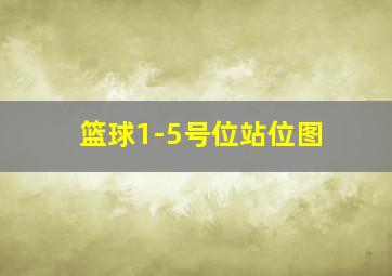 篮球1-5号位站位图