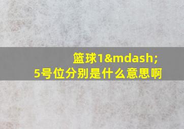 篮球1—5号位分别是什么意思啊