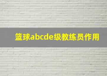 篮球abcde级教练员作用