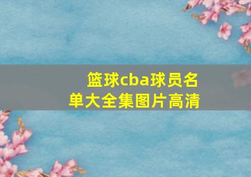 篮球cba球员名单大全集图片高清