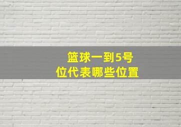 篮球一到5号位代表哪些位置