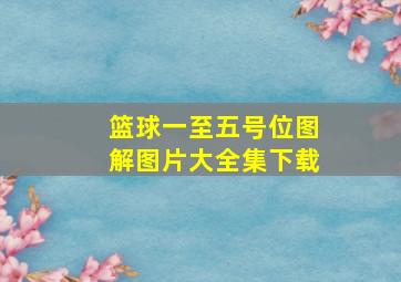 篮球一至五号位图解图片大全集下载