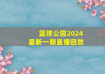 篮球公园2024最新一期直播回放