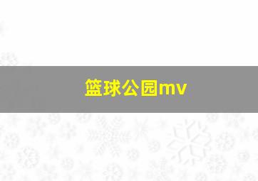 篮球公园mv