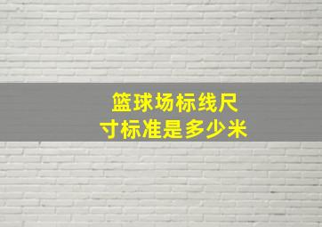 篮球场标线尺寸标准是多少米