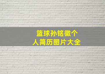 篮球孙铭徽个人简历图片大全