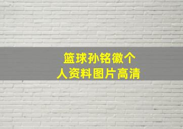 篮球孙铭徽个人资料图片高清