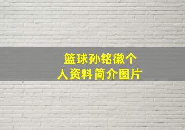 篮球孙铭徽个人资料简介图片