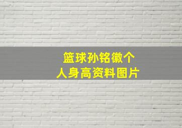 篮球孙铭徽个人身高资料图片