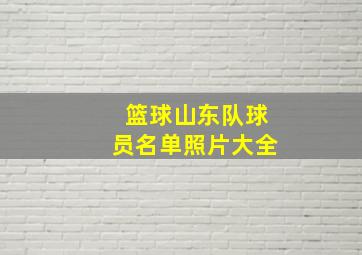 篮球山东队球员名单照片大全