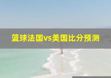 篮球法国vs美国比分预测