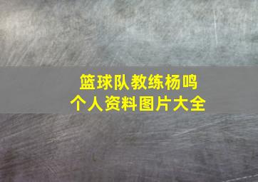 篮球队教练杨鸣个人资料图片大全