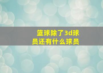 篮球除了3d球员还有什么球员