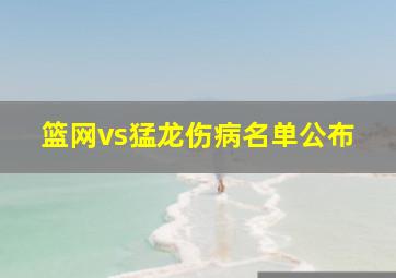 篮网vs猛龙伤病名单公布