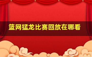 篮网猛龙比赛回放在哪看