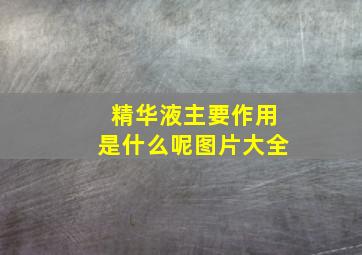 精华液主要作用是什么呢图片大全