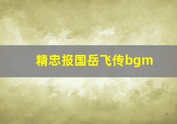 精忠报国岳飞传bgm