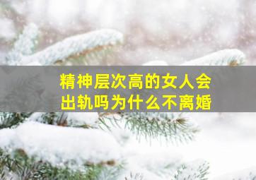 精神层次高的女人会出轨吗为什么不离婚