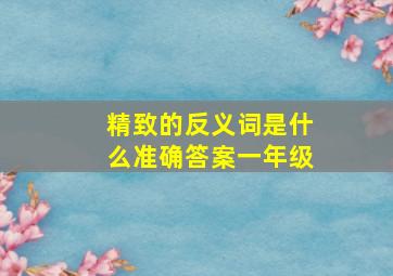 精致的反义词是什么准确答案一年级