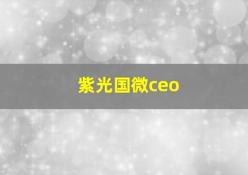 紫光国微ceo