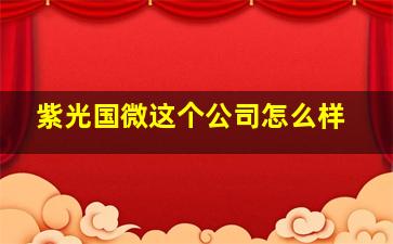 紫光国微这个公司怎么样