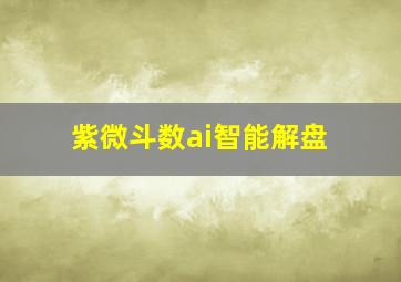 紫微斗数ai智能解盘