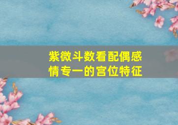 紫微斗数看配偶感情专一的宫位特征