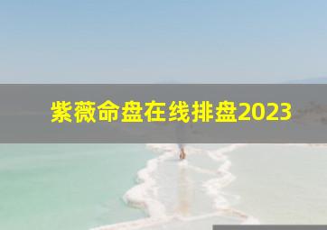 紫薇命盘在线排盘2023