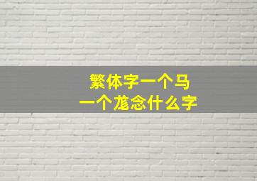 繁体字一个马一个尨念什么字