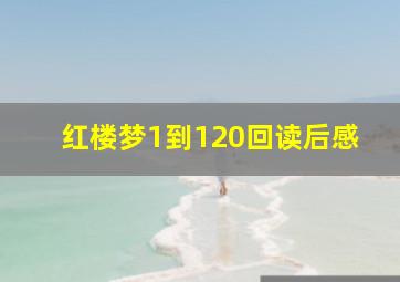 红楼梦1到120回读后感