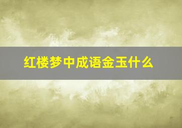 红楼梦中成语金玉什么