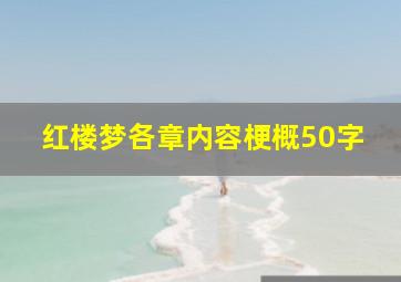 红楼梦各章内容梗概50字